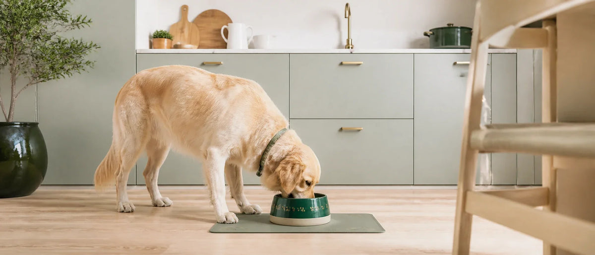 Stylish personalised pet bowl and matching feeding mat in a clean Scandinavian kitchen, no readable name - Petifo