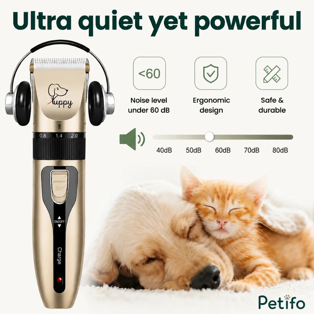 Kit de toilettage
