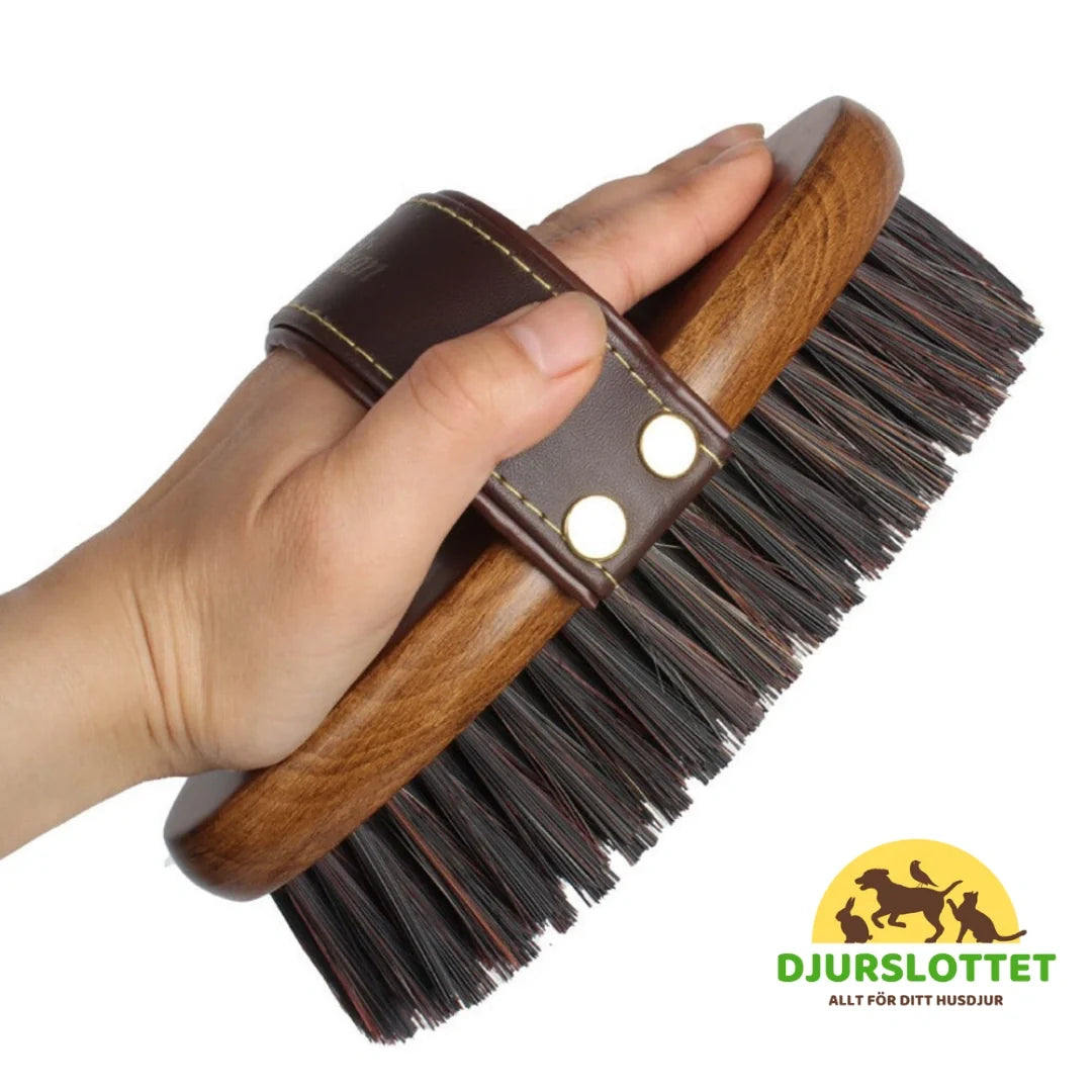 2-pack Premium Horse Brush in Wood Comfortable, non-slip grip - Petifo