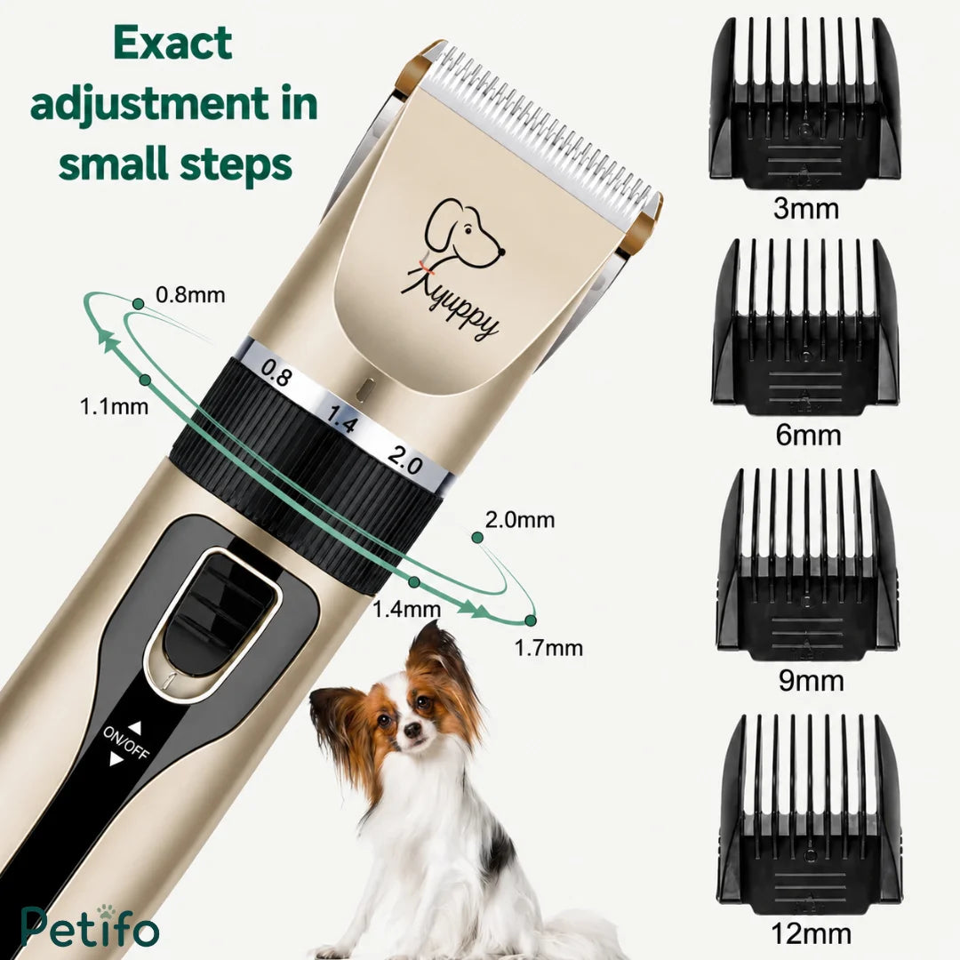 Kit de toilettage