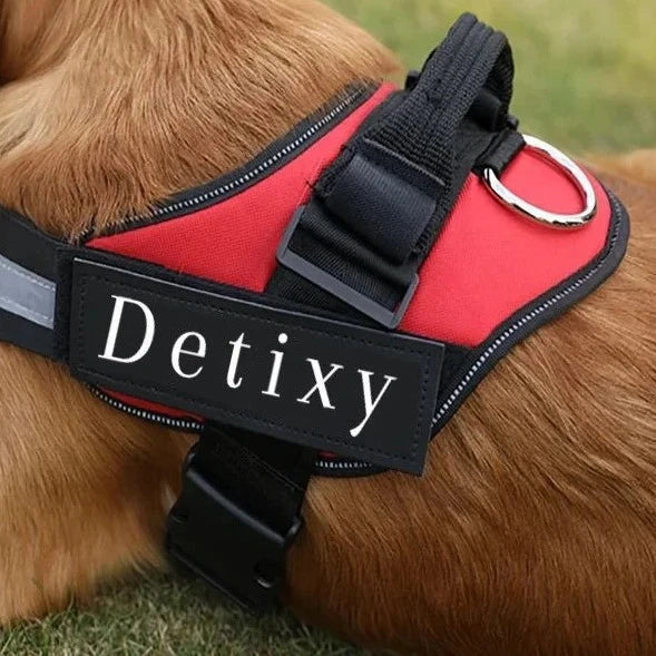 Detixy Dog Harness - Petifo