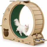 Roue d’exercice et arbre à chat 5-en-1