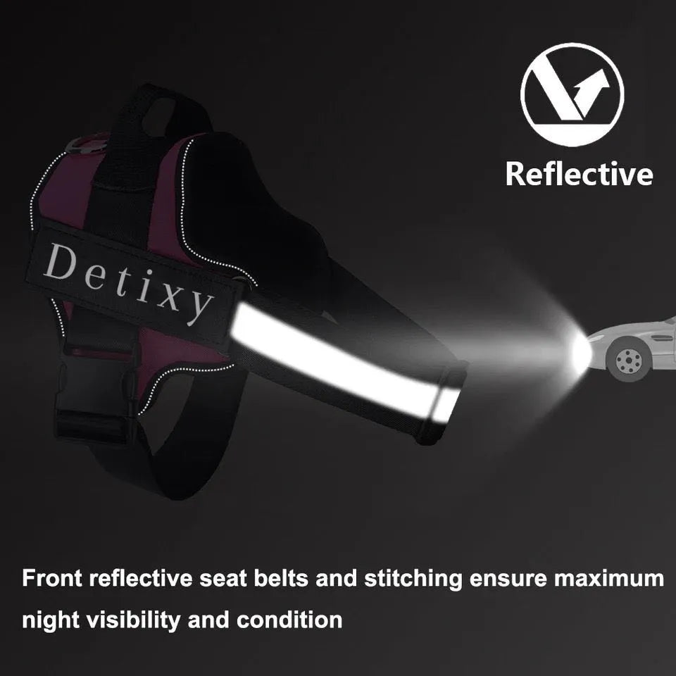 Detixy Dog Harness - Petifo