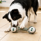 Jouet à mâcher ChewUp pour chiens