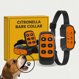 1 télécommande + 1 collier