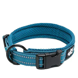 Bleu néon
