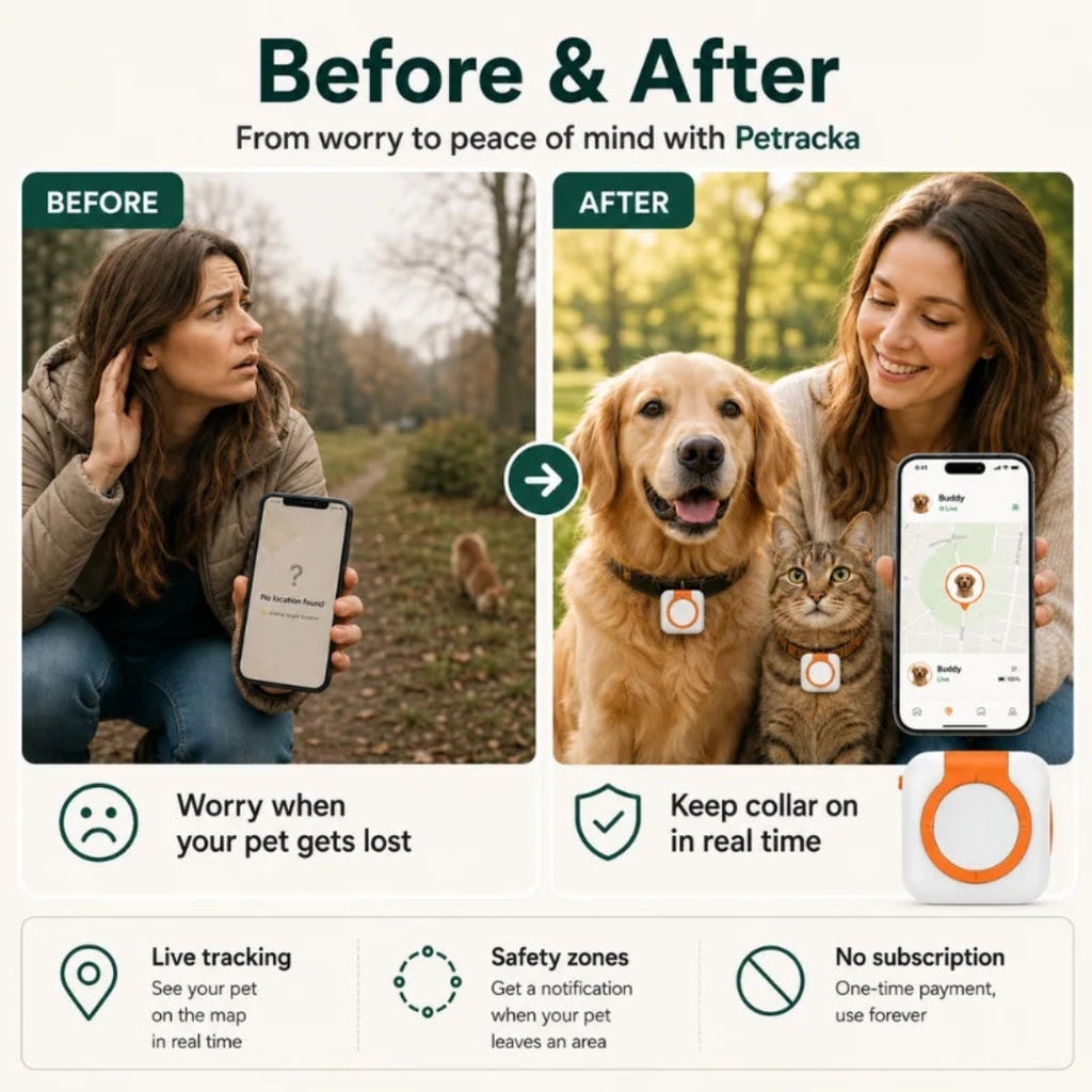 Before and after pet tracking solution showing lost pet recovery with GPS tracker 