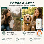 Before and after pet tracking solution showing lost pet recovery with GPS tracker 
