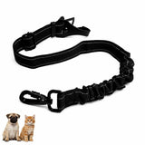Ceinture de sécurité renforcée pour animaux