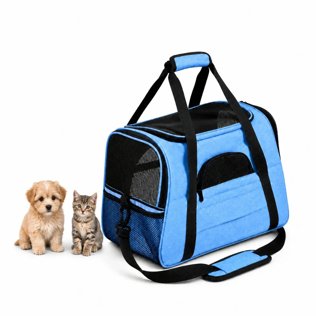 Cute puppy and kitten sitting beside a vibrant blue Petifo pet carrier on a white background.