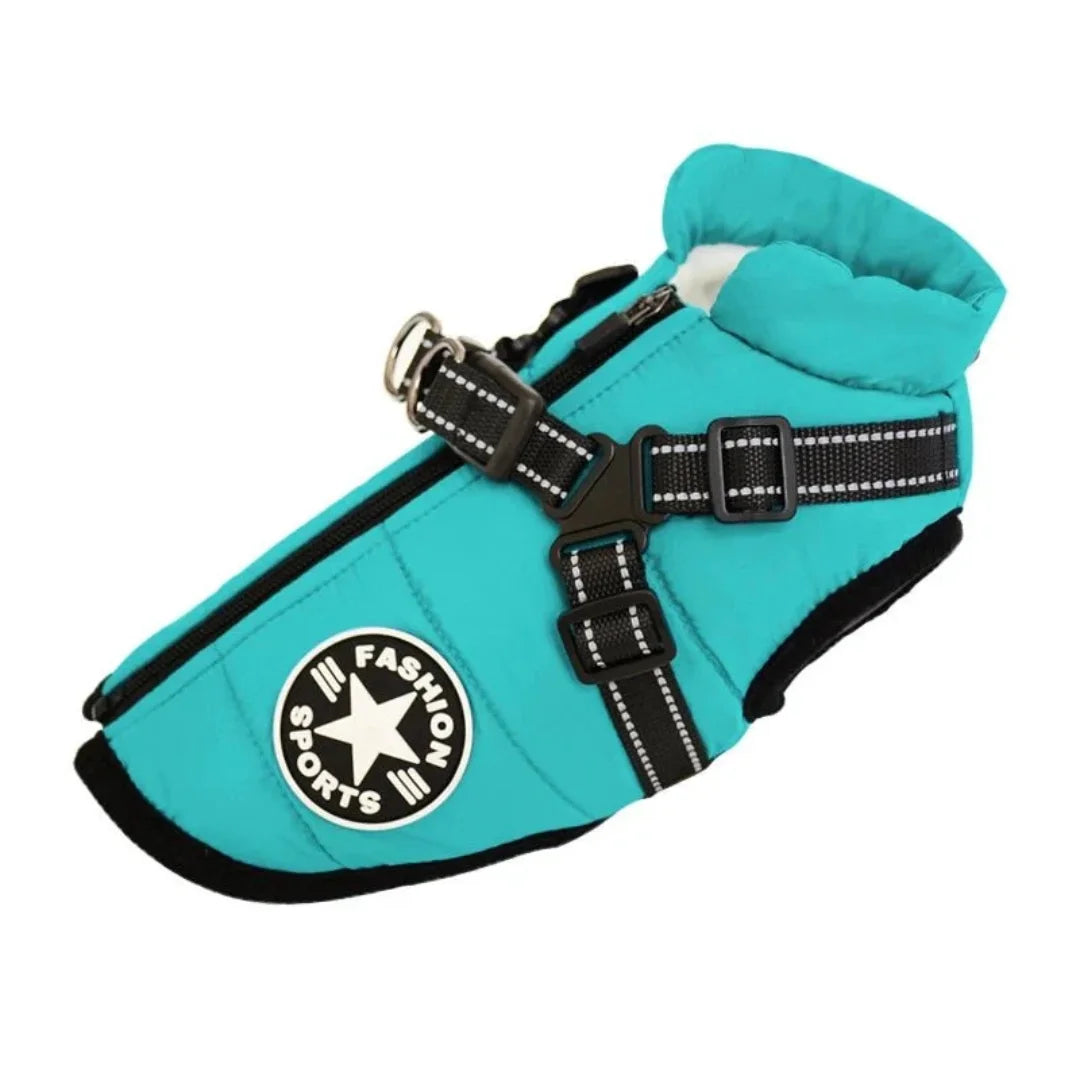 Turquoise blue winter dog coat featuring integrated harness straps and a reflective design.