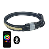 Collier LED LunaPaw pour chiens