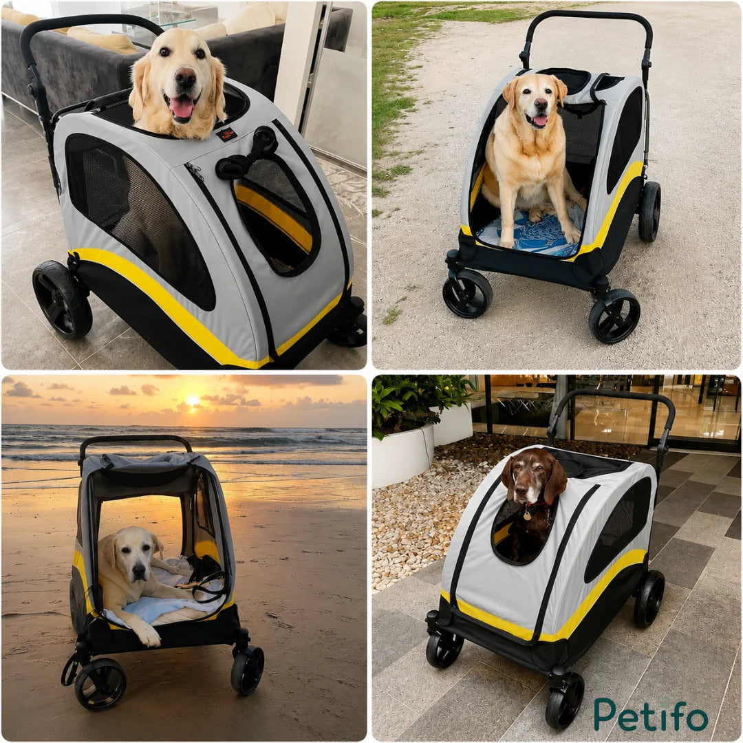 Collage of various medium and large dogs sitting comfortably inside a Petifo pet stroller in different outdoor locations