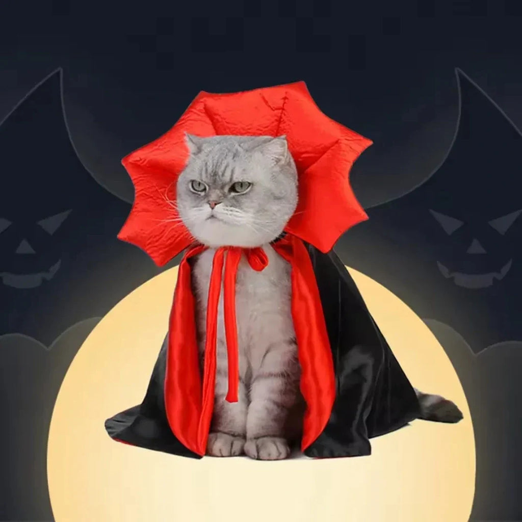 Halloween Costume for Cats A design that impresses - Petifo
