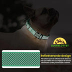 Semi-choke Collar with personalised engraving Reflective design - Petifo