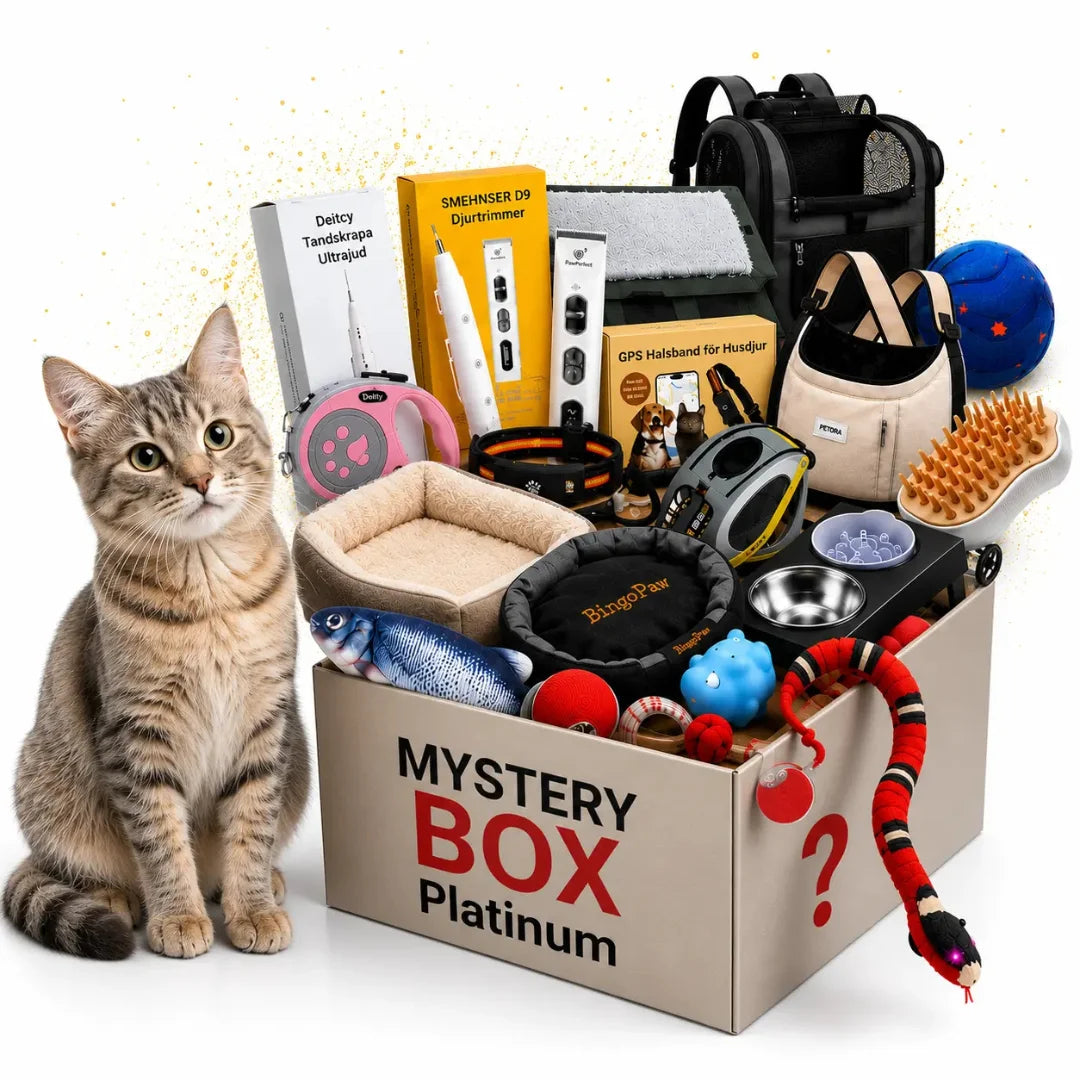 Platinum mystery box assortment of high-end pet toys and gear with a curious cat.