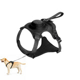 Harnais pour chien avec laisse rétractable intégrée