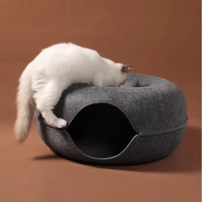 Cat playing with the donut cat bed