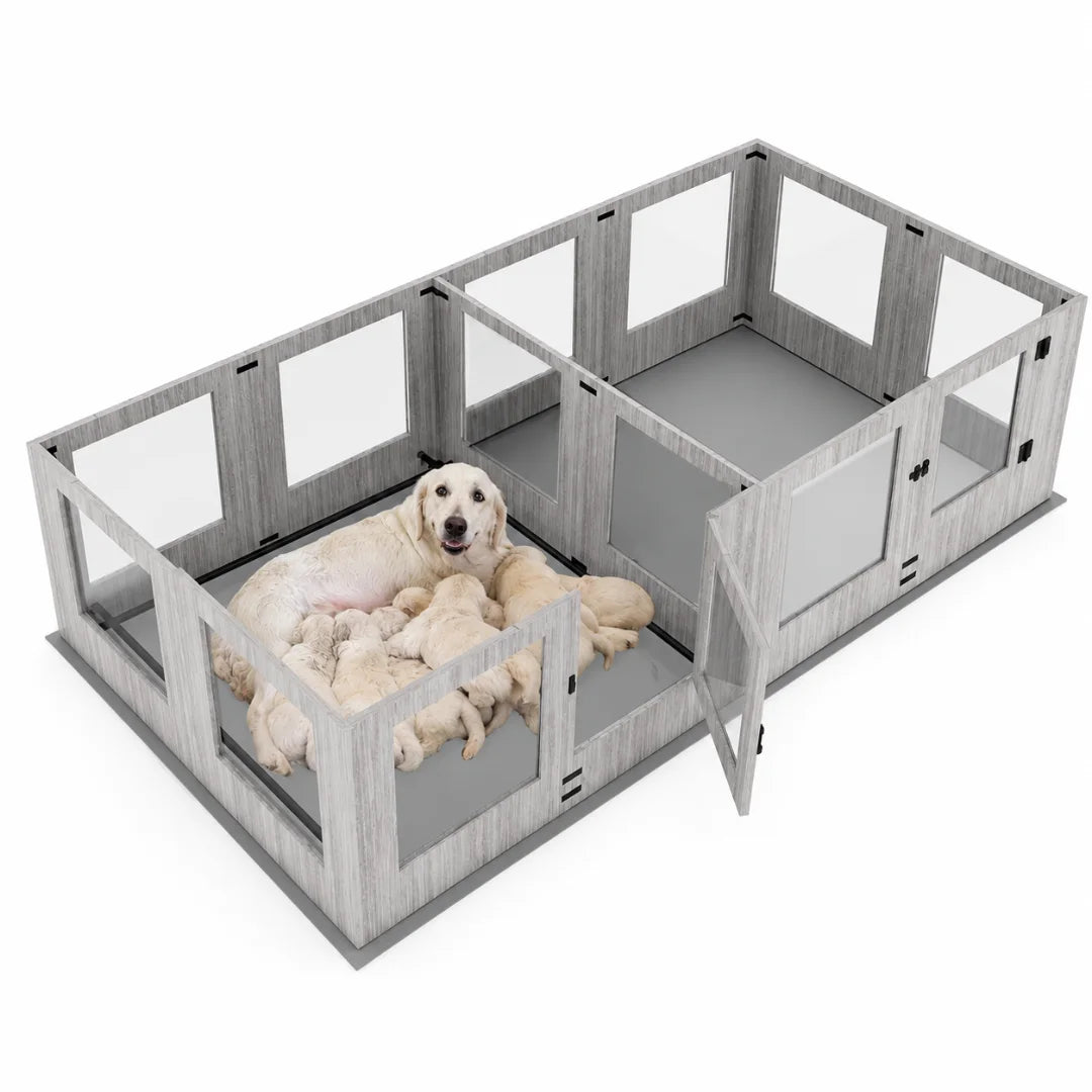 Large wooden pet kennel with a central divider and glass walls, ideal for housing multiple dogs.