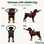Multi-angle front, back, left, and right views of a puppy wearing the red blind dog harness with a halo.