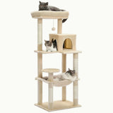 Arbres à chat de taille moyenne