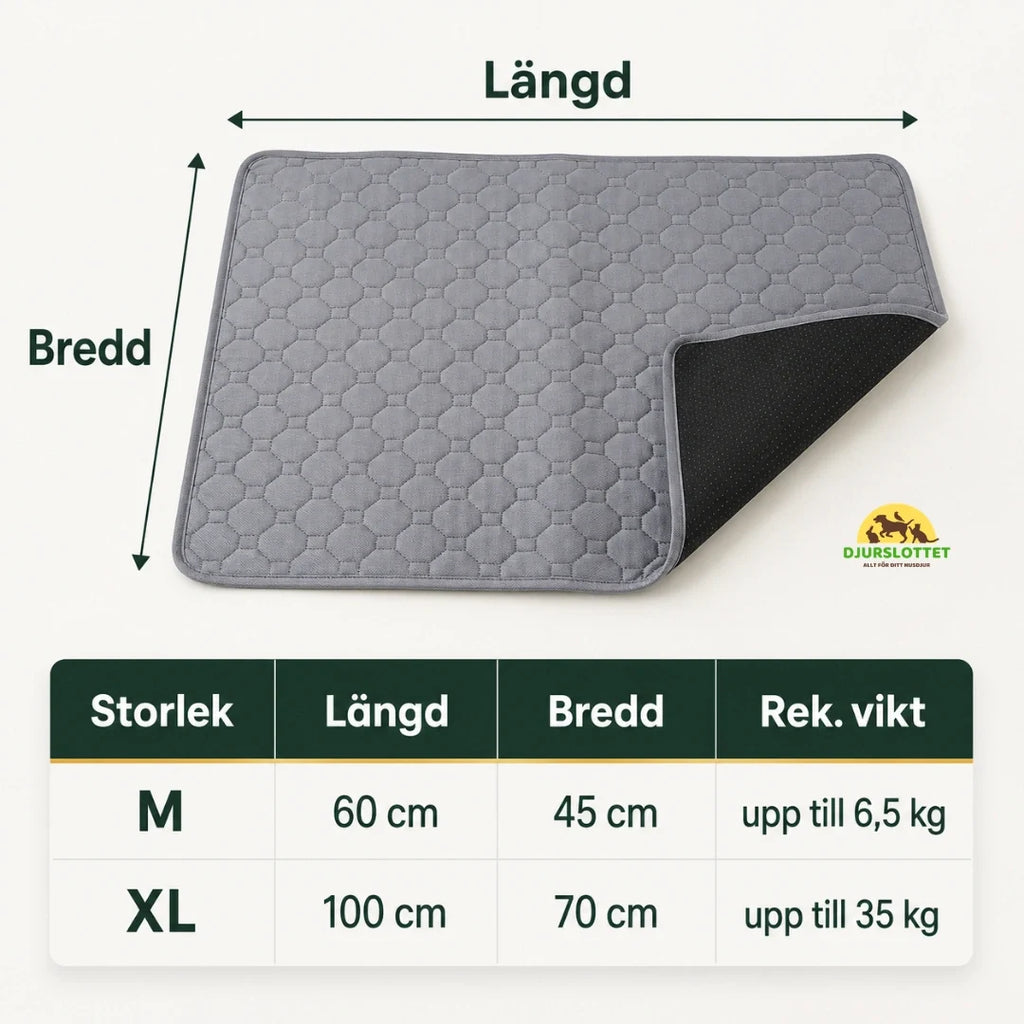 PupClean Washable Puppy Pad size  - Petifo