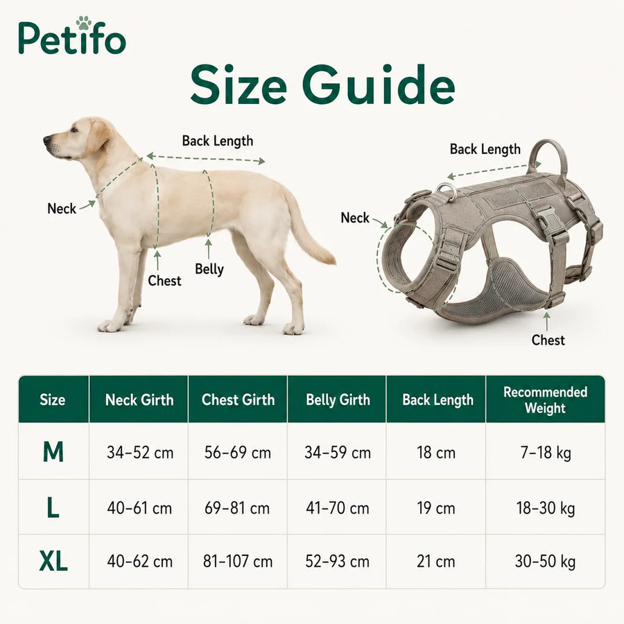 Ce guide des tailles pour le harnais pour chien ProSafe fournit les mesures du cou, du poitrail, du ventre et de la longueur du dos, ainsi que les fourchettes de poids recommandées pour les tailles M, L et XL.