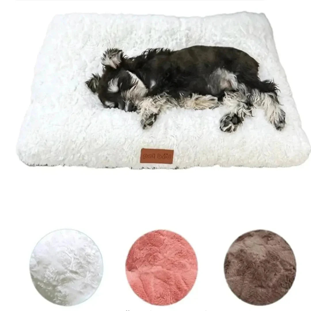 Small black and white puppy sleeping comfortably on a soft white plush rectangular dog bed with color swatch options.