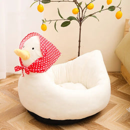 Canard