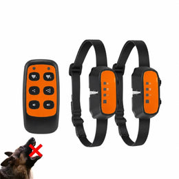1 télécommande + 2 colliers