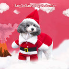 Christmas Outfit for Dogs and Cats - djurslottet