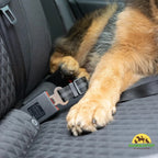Safety Belt for Pets Adjustable Length-Petifo