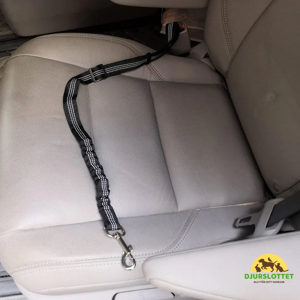 Safety Belt for Pets Safe and Stable-Petifo