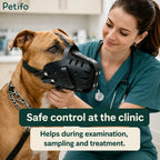 Veterinary clinic setting showing a dog wearing a safe black muzzle during a medical exam.