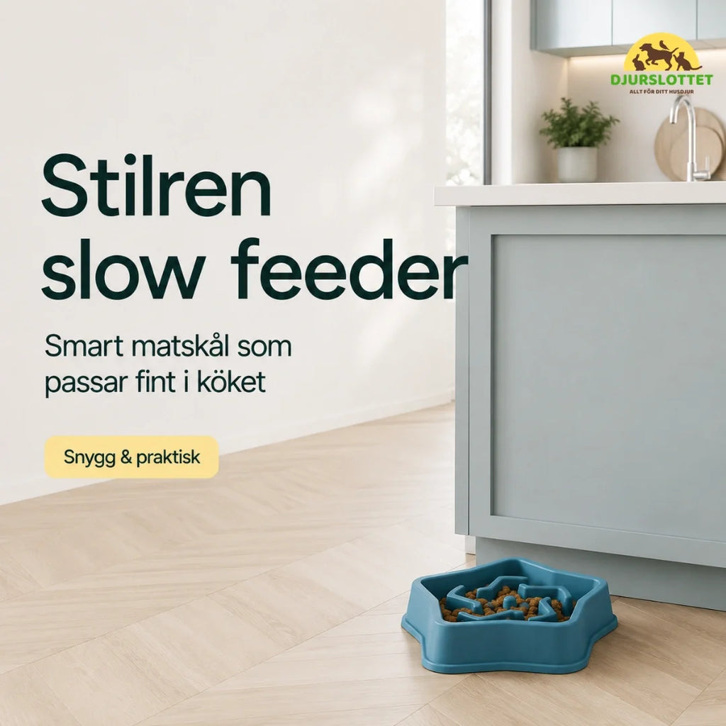 Slowfeeder Pro stylish - Petifo