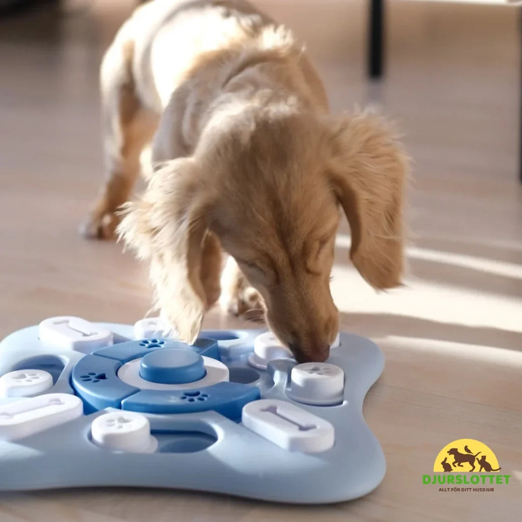 SmartPaw Slower mealtime - Petifo