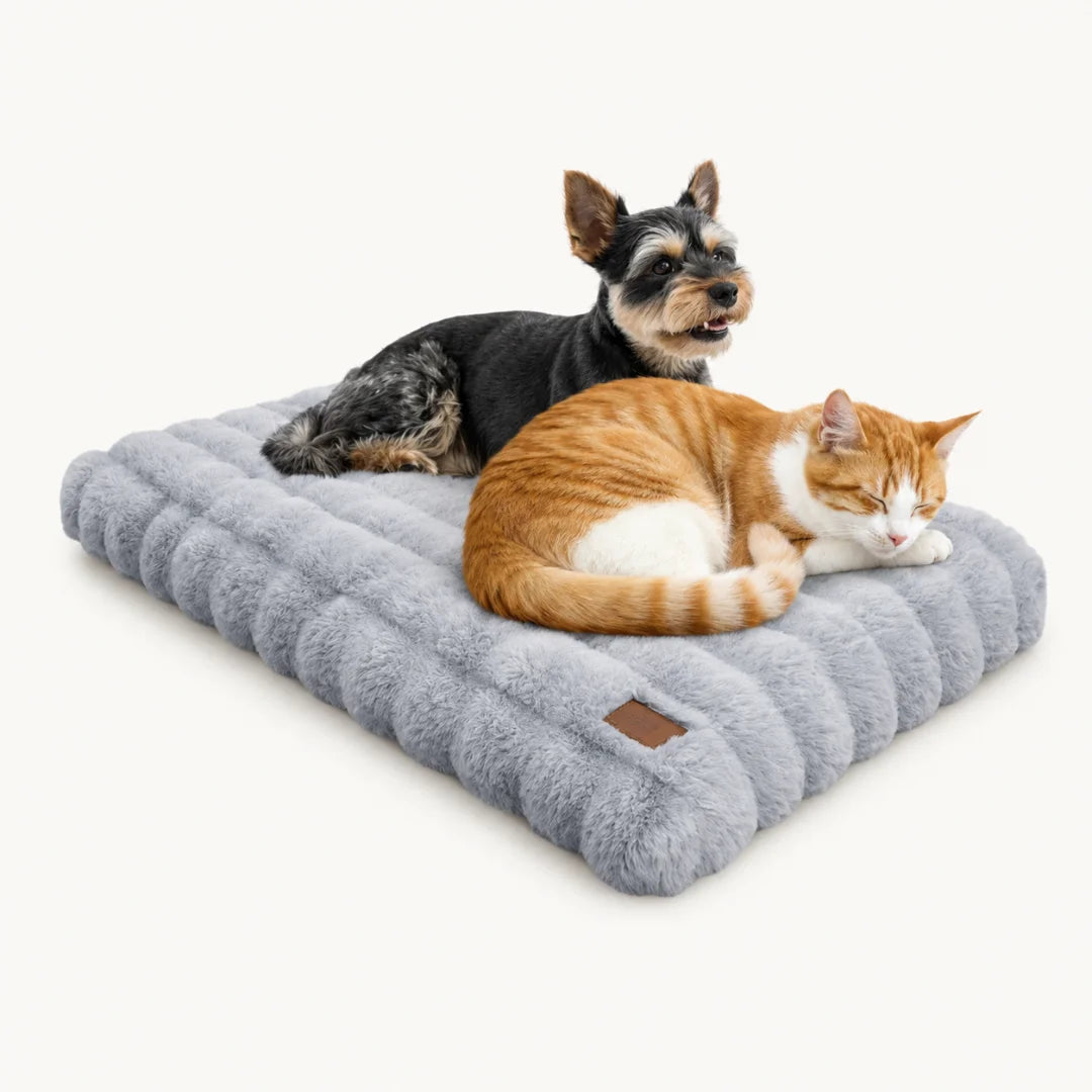 Matelas Doux pour Chien