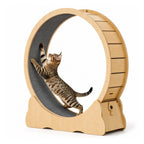 Tabby cat stretching upwards inside a wooden Petifo cat exercise wheel against a white background.