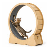 Roue d’exercice en bois Tassiloop pour chat