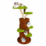 Arbre à chat en bois massif