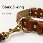 Tagley leather collar with robust D-ring for lead - Petifo