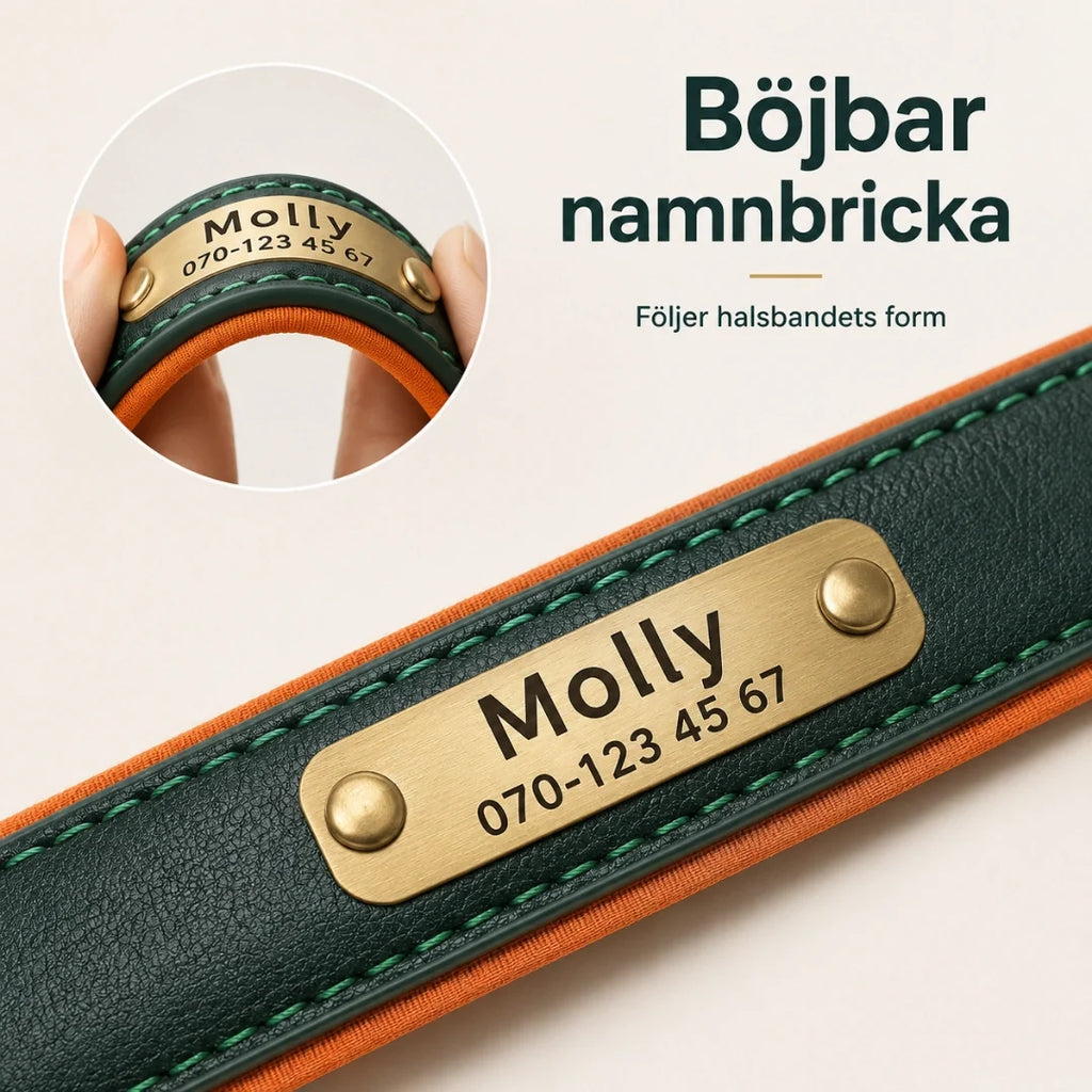 Tagley leather collar with engraved name and phone number - Petifo