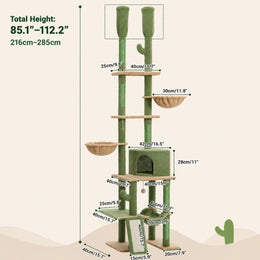 Cactus (216-285 cm)