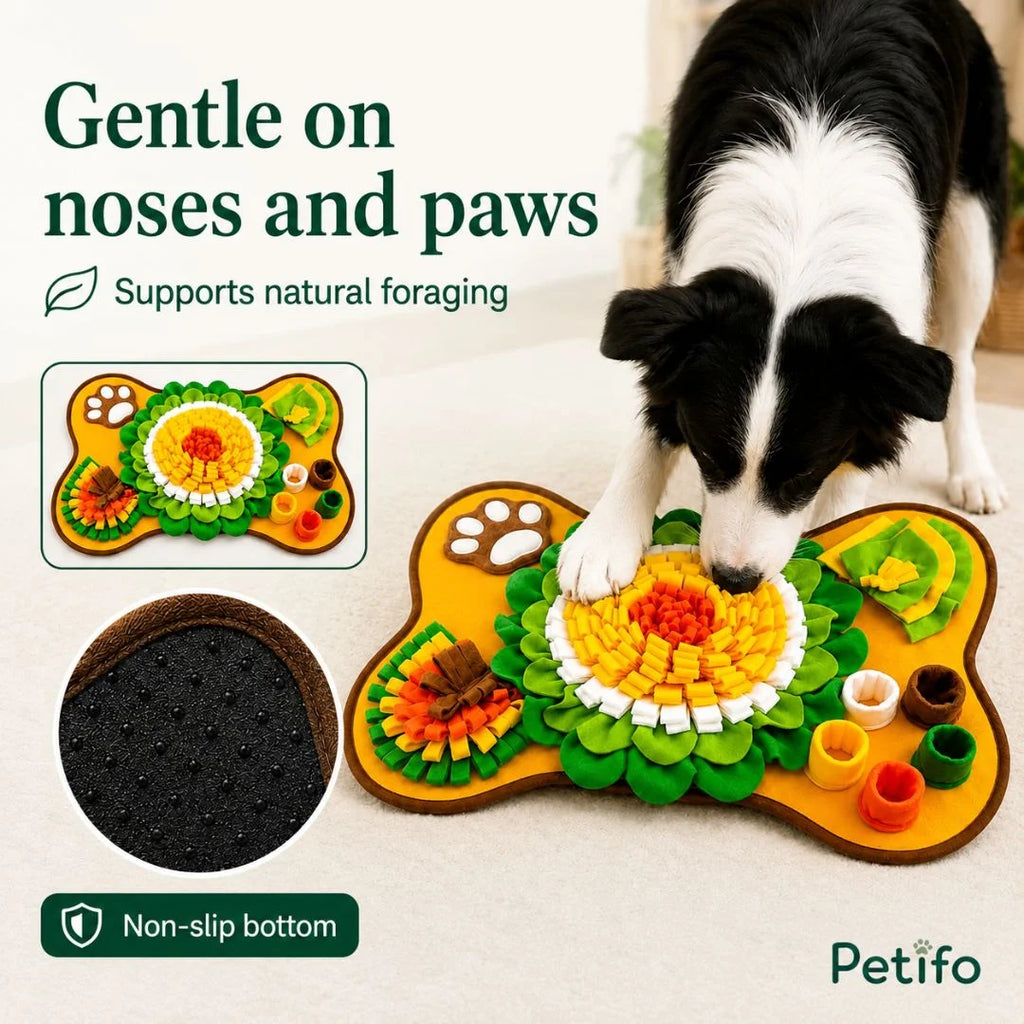 Tapis d'activités PetSniff