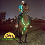 Rechargeable LED breastplate for horses High visibility - Petifo