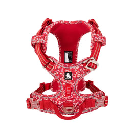 Rouge coquelicot