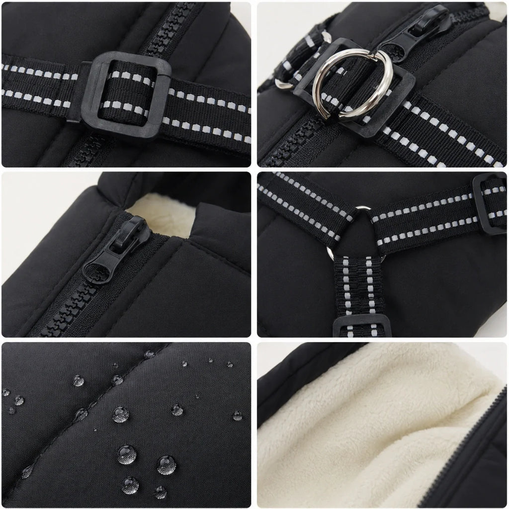 Winter coat for dogs Maximum warmth - Petifo