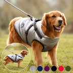 Winter coat for dogs - Petifo