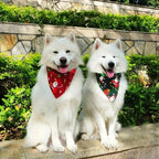 Christmas Bandana for Dogs Christmas style -Petifo