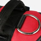 Detixy Dog Harness - Petifo